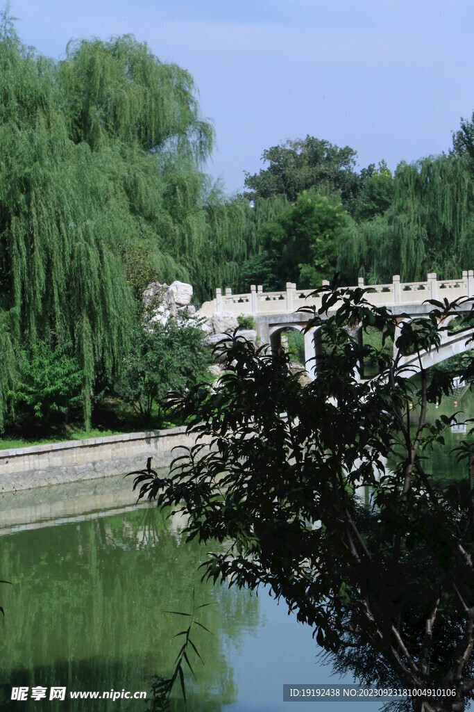 公园风景 