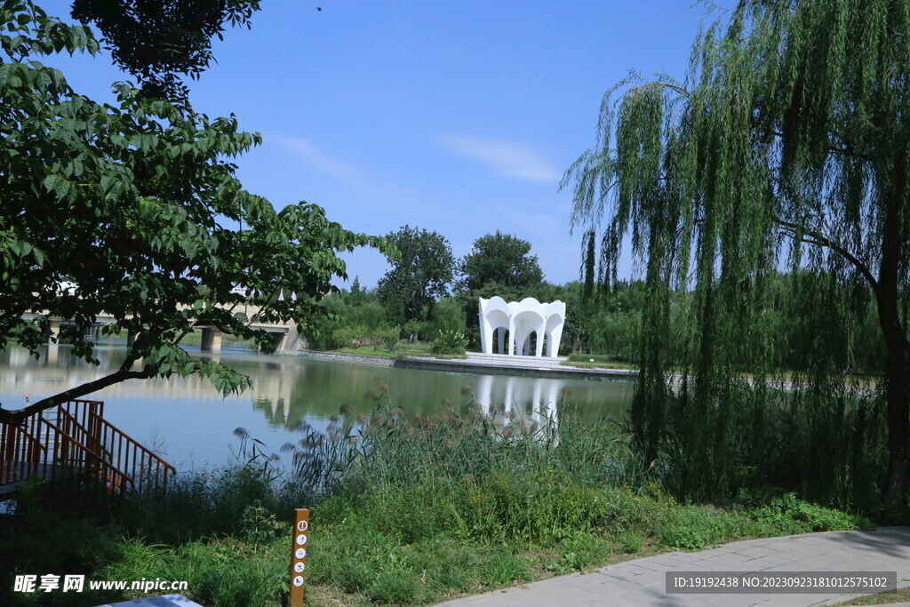 公园风景 