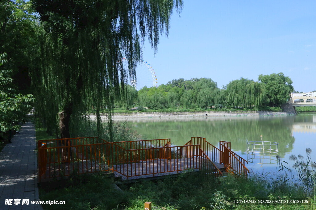 公园风景 