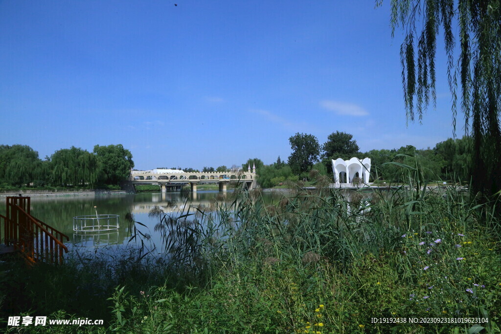 龙潭中湖风景 