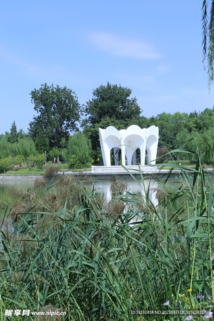 公园风景 