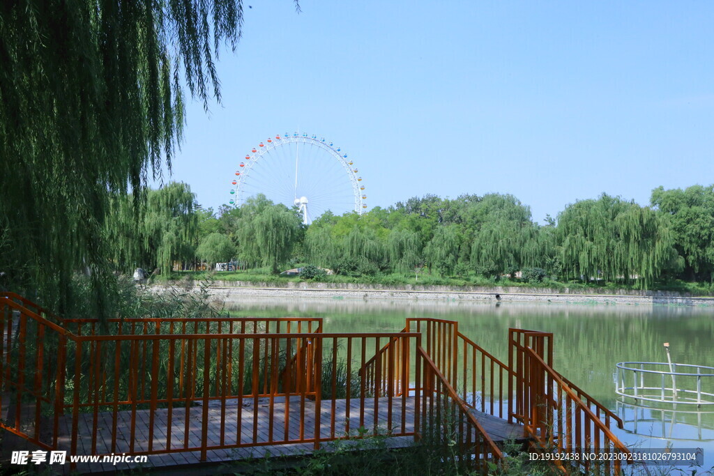 公园风景 