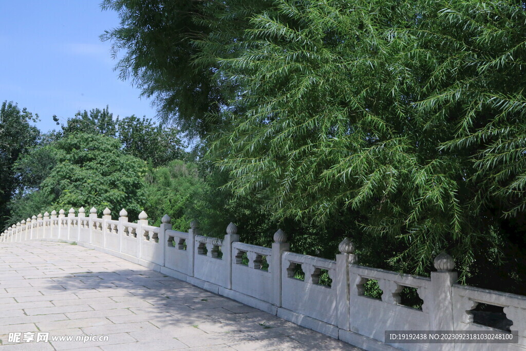 公园风景 