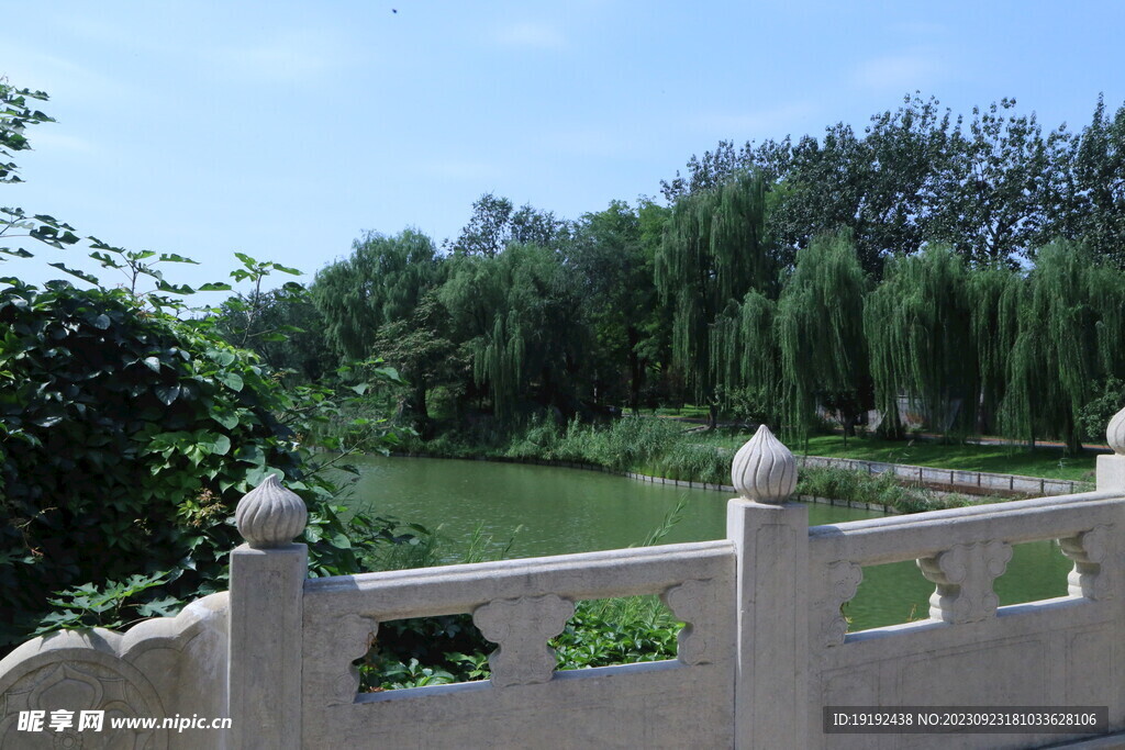公园风景