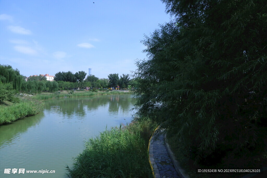 公园风景
