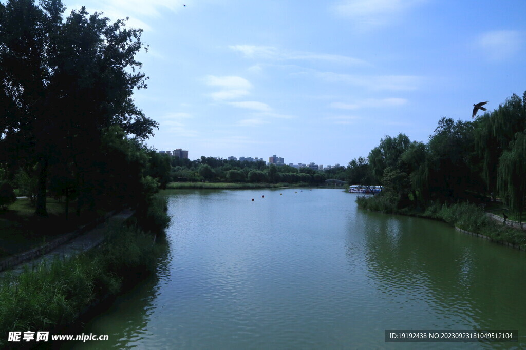 公园风景