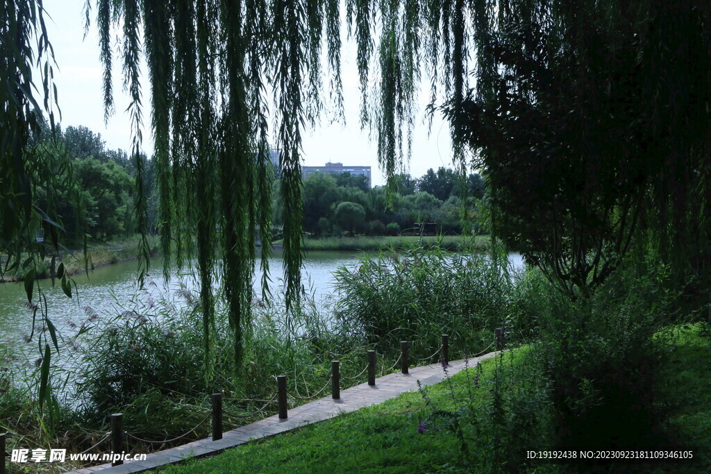 公园风景 