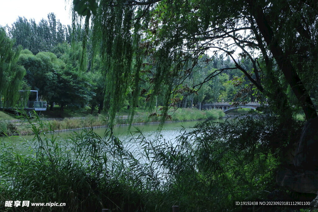 公园风景 
