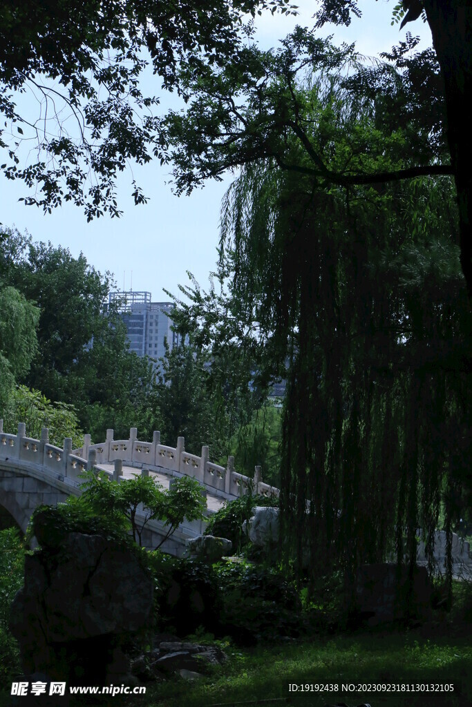 公园风景 