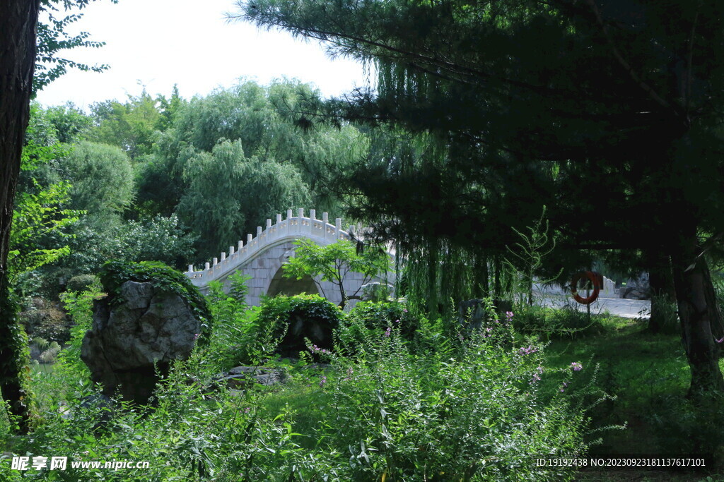 公园风景