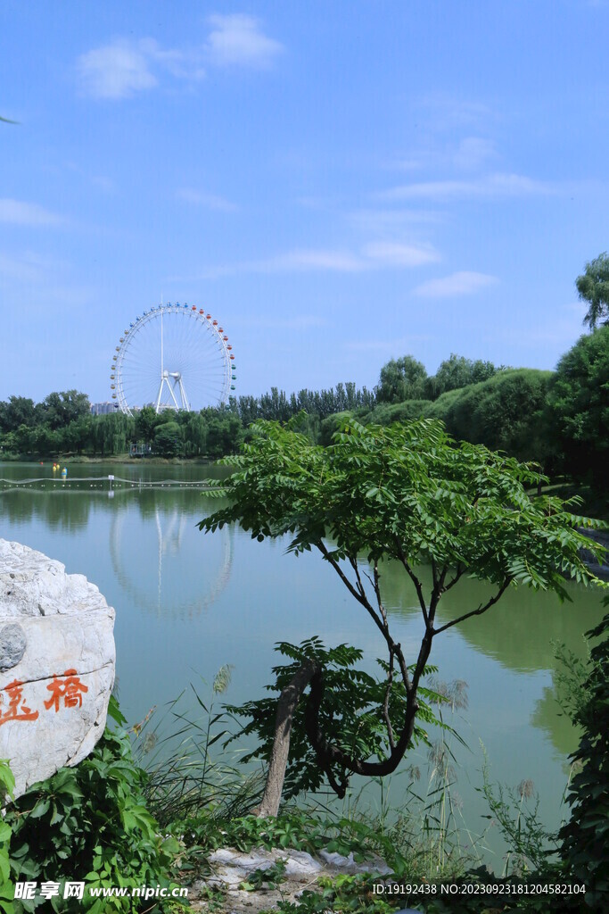 公园风景 