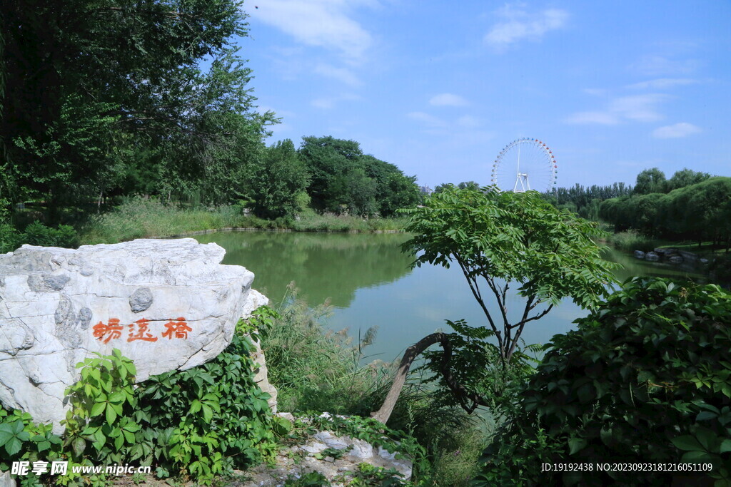 公园风景