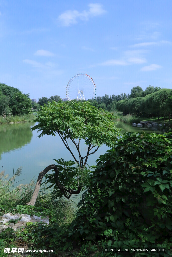 龙潭中湖风景