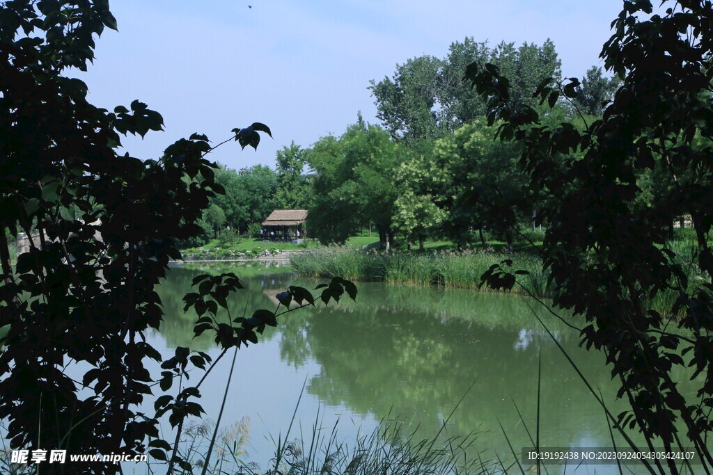 公园风景