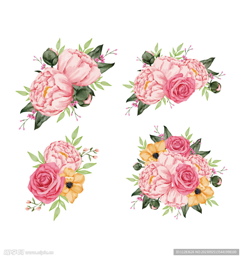 牡丹花插画