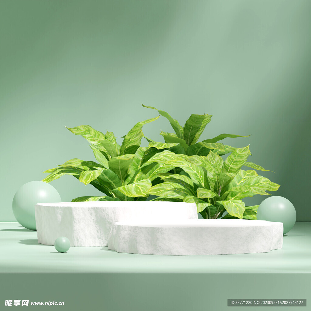 清新植物几何背景