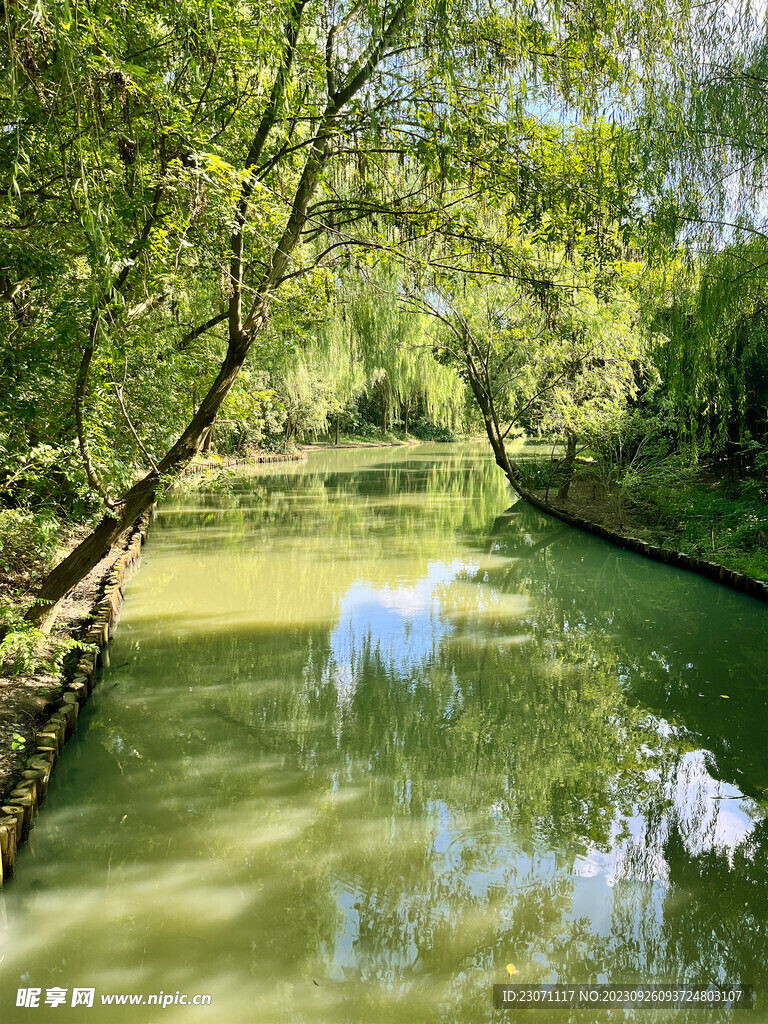 湿地公园