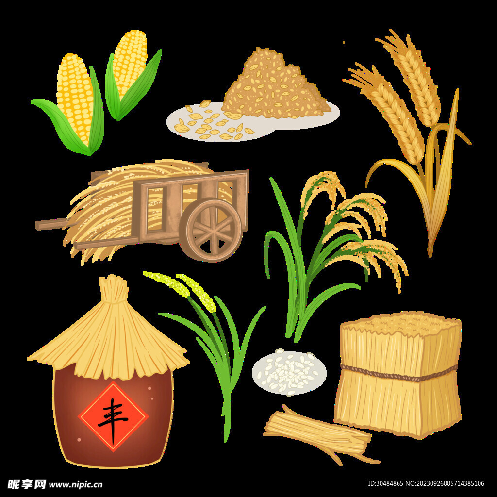 农作物插画素材
