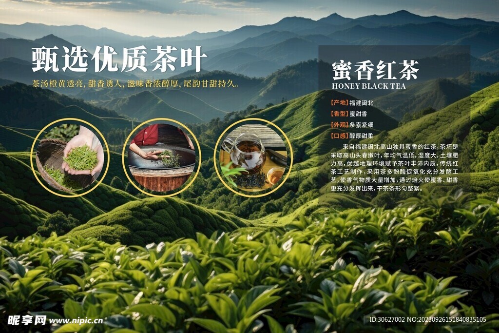 茶叶海报