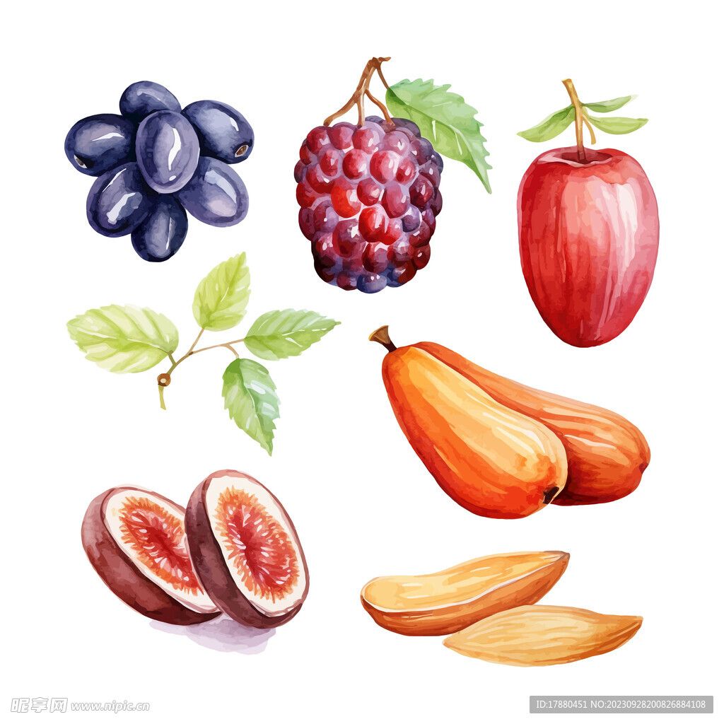 水彩水果插画