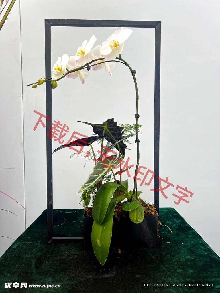 花卉盆栽组合