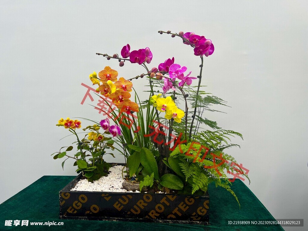 花卉盆栽组合