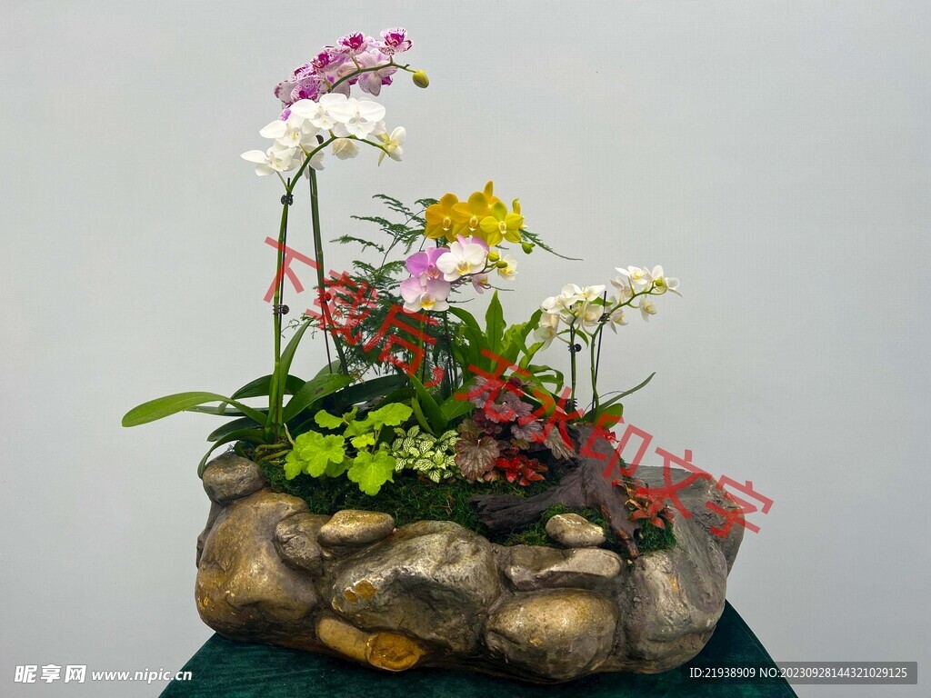 花卉盆栽组合
