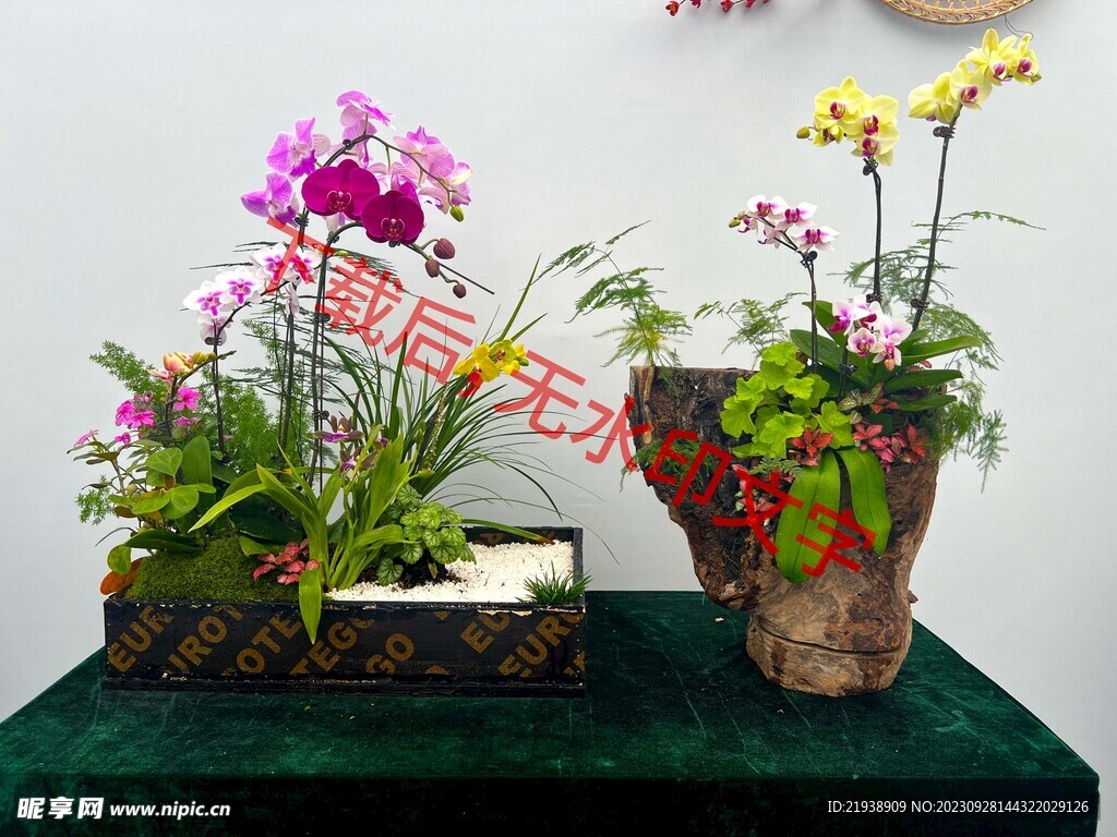 花卉盆栽组合