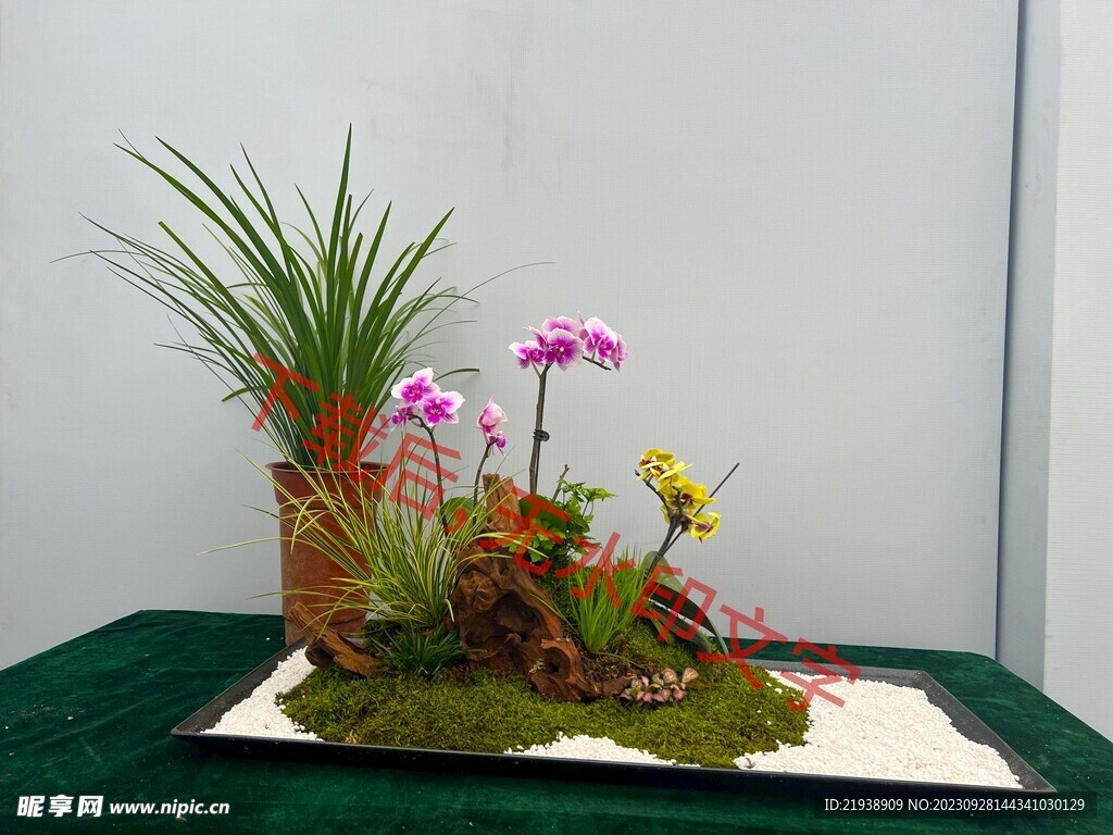 花卉盆栽组合