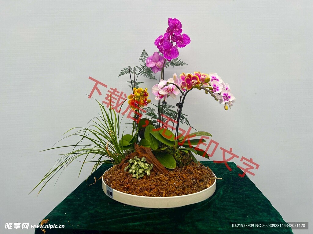 花卉盆栽组合
