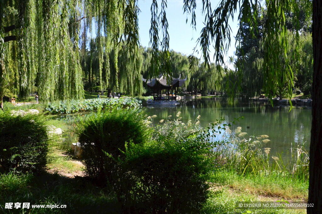 公园风景 