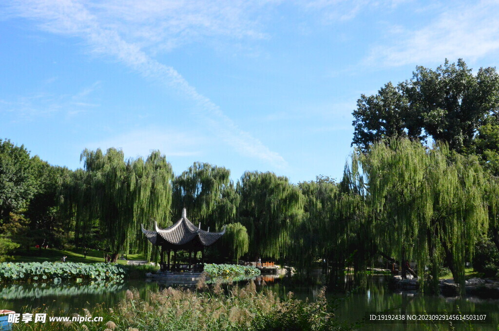 公园风景 