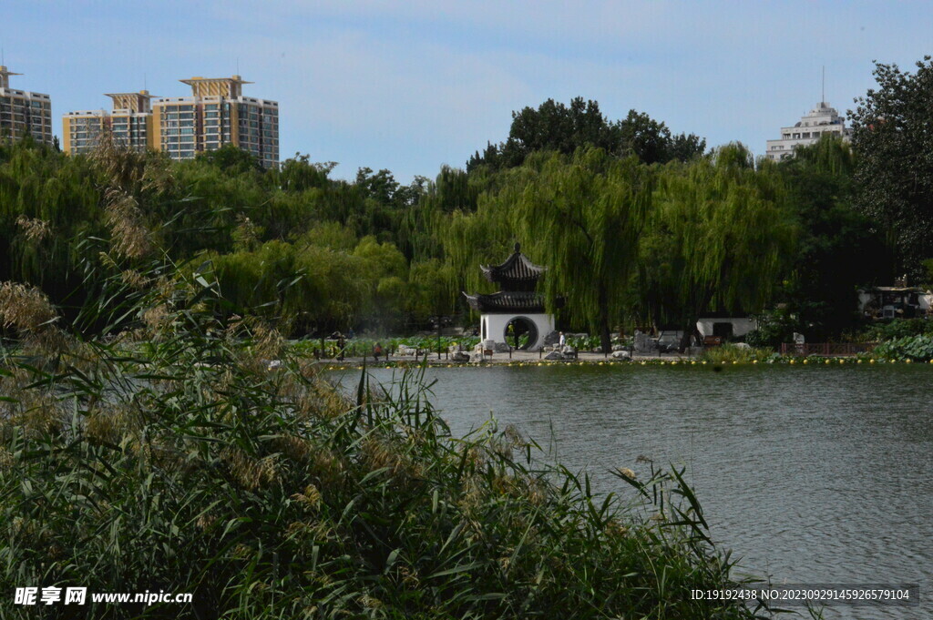 公园风景 