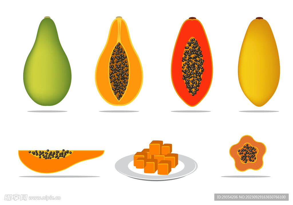 矢量木瓜图片