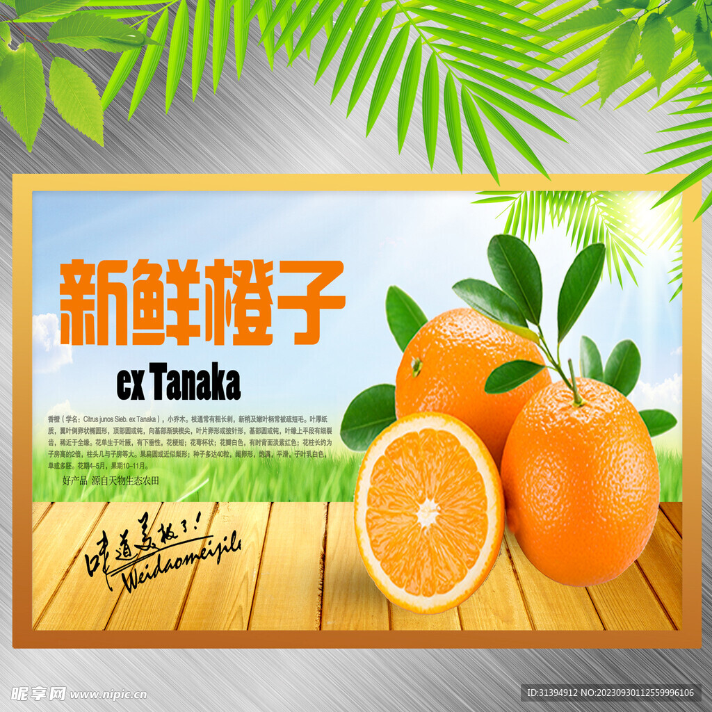 橙子