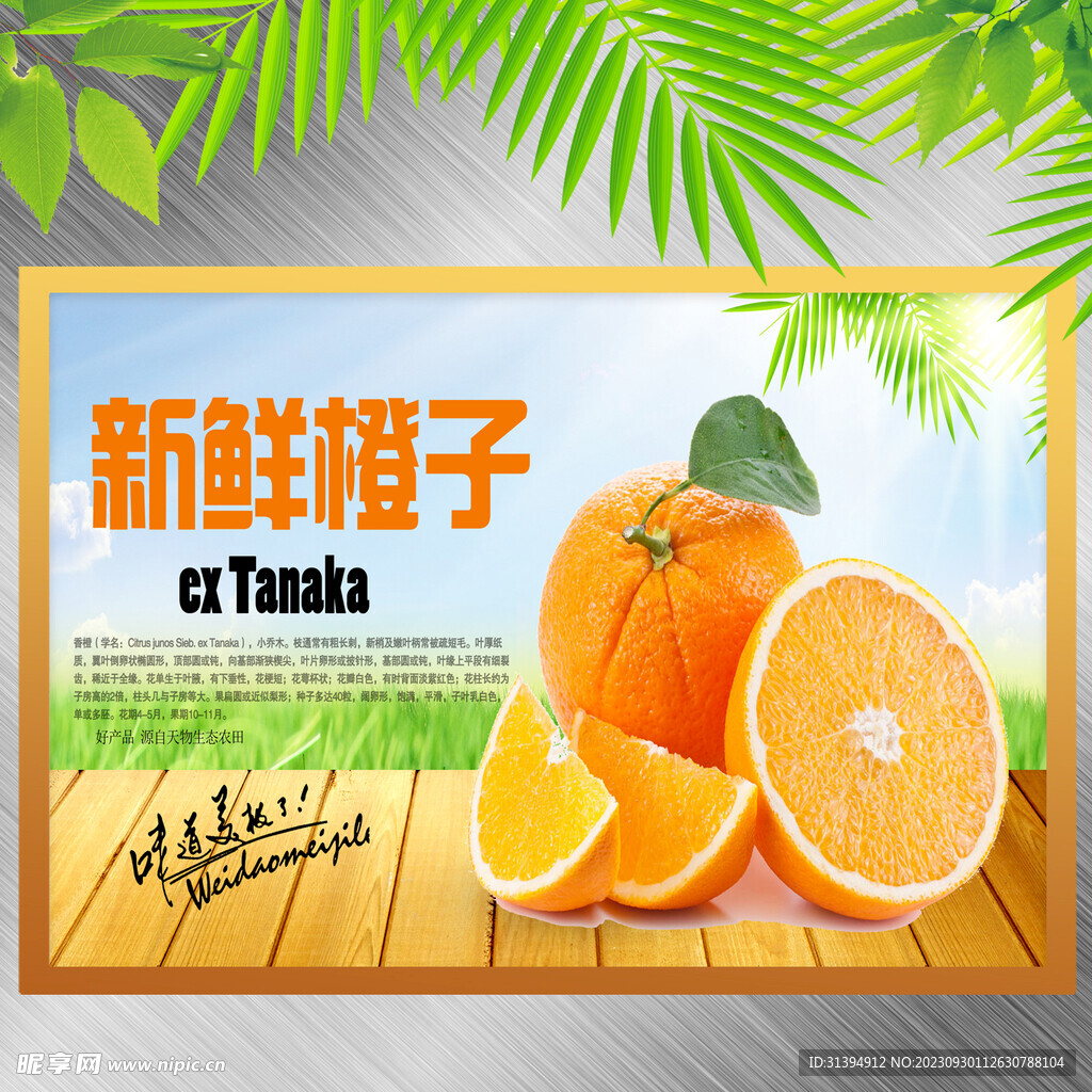 新鲜橙子