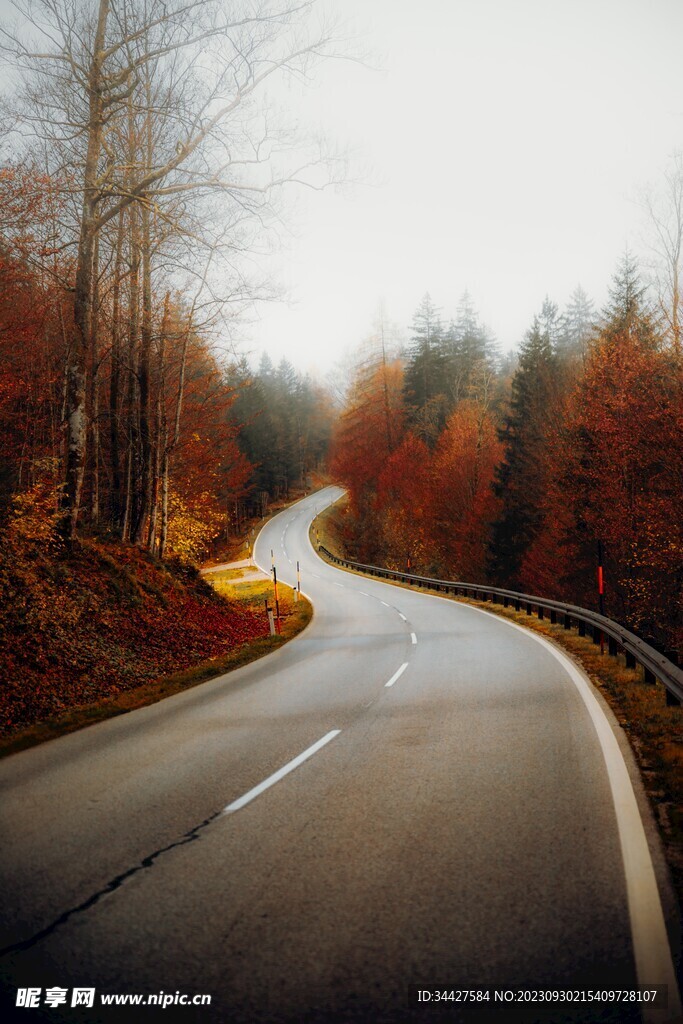 山林道路