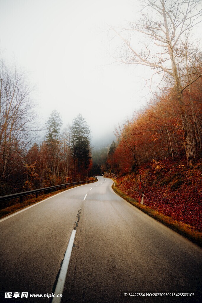 山林道路