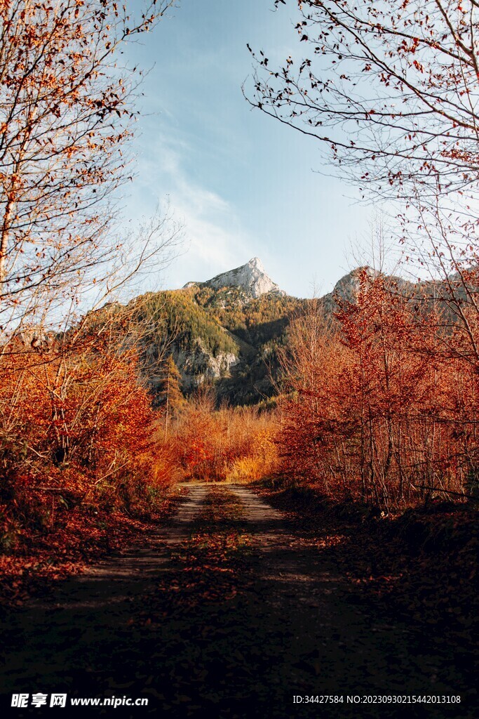 山路风景