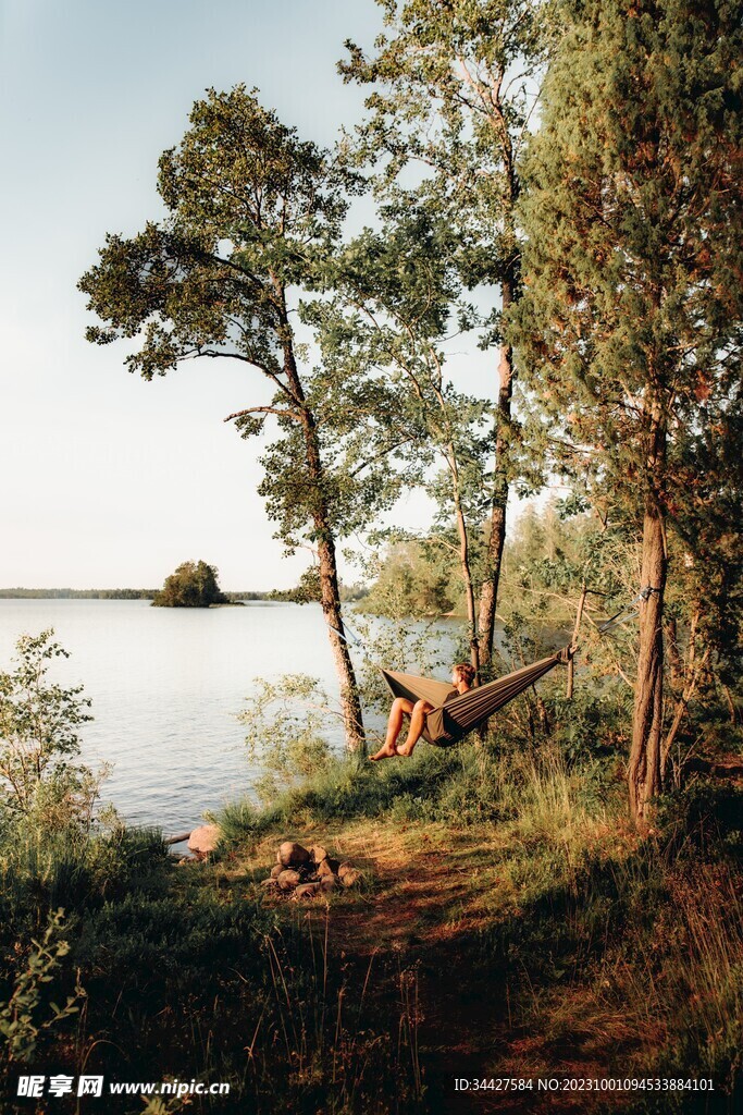 湖边树林风景