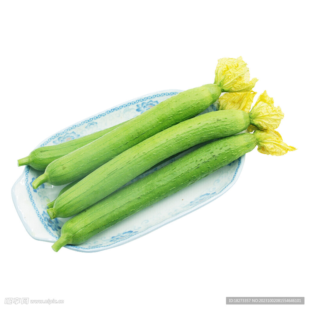 丝瓜
