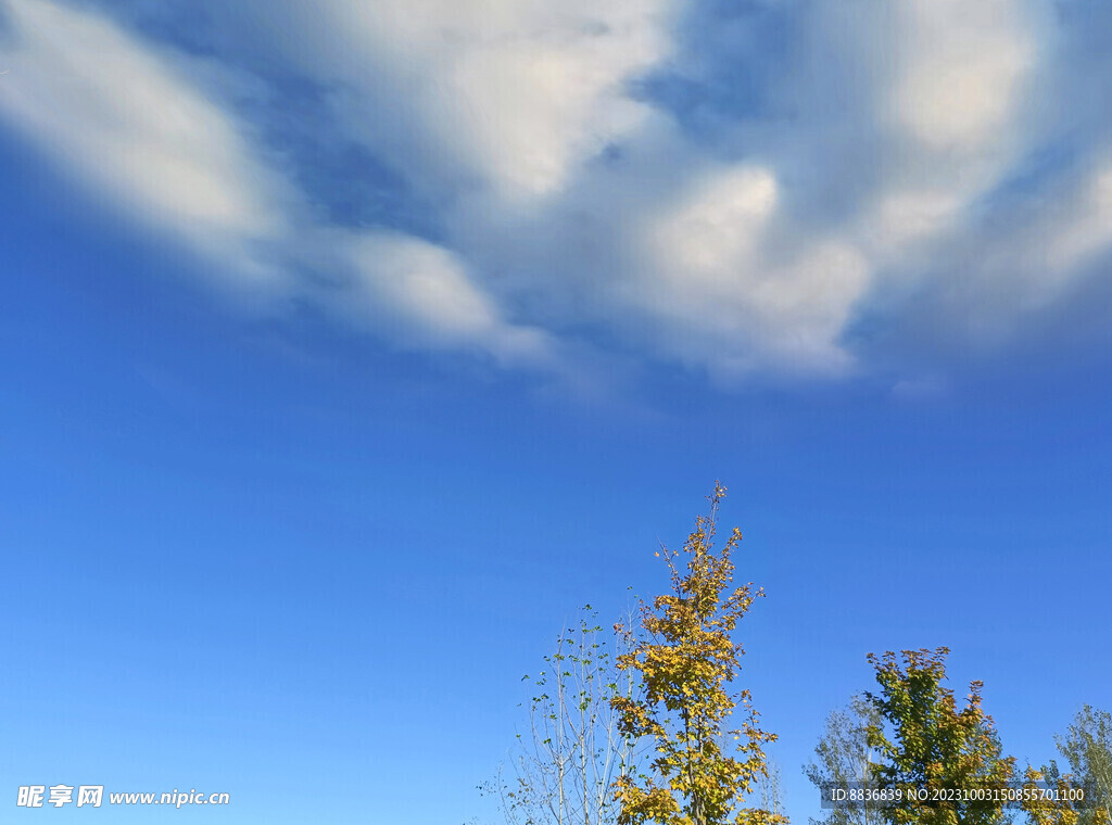 蓝色天空