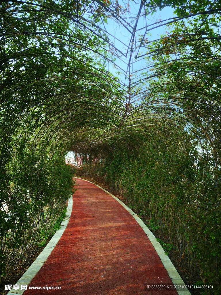 拱形步道