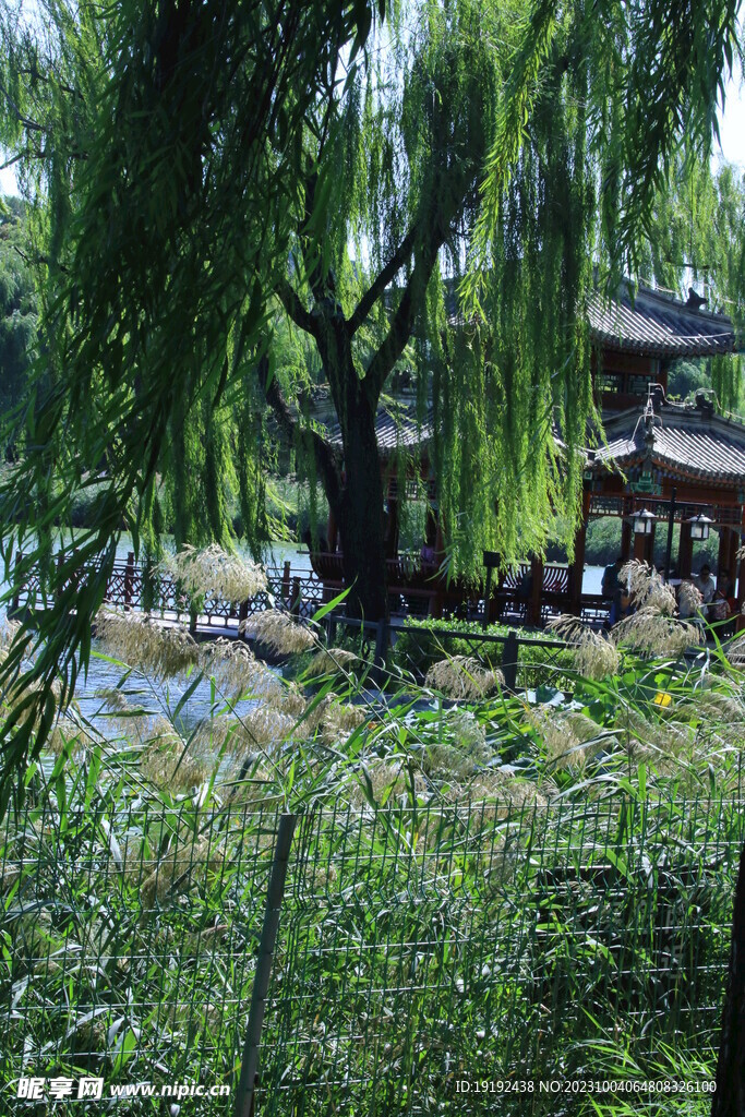 陶然亭风景 