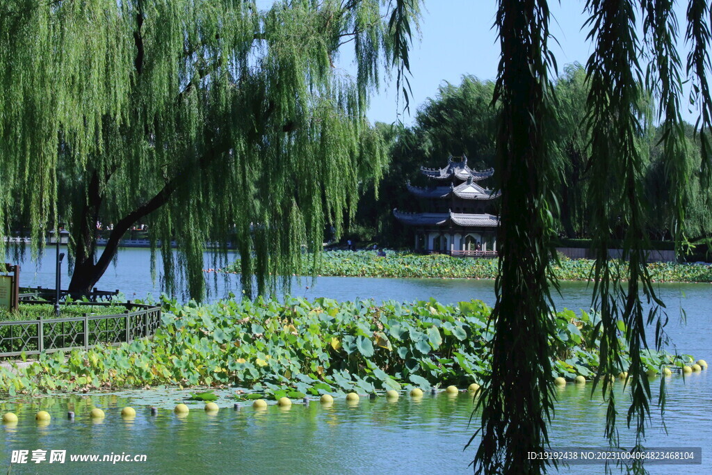 陶然亭风景 