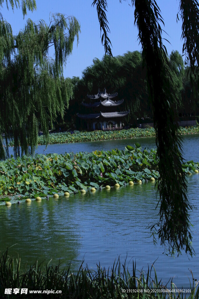 陶然亭风景 