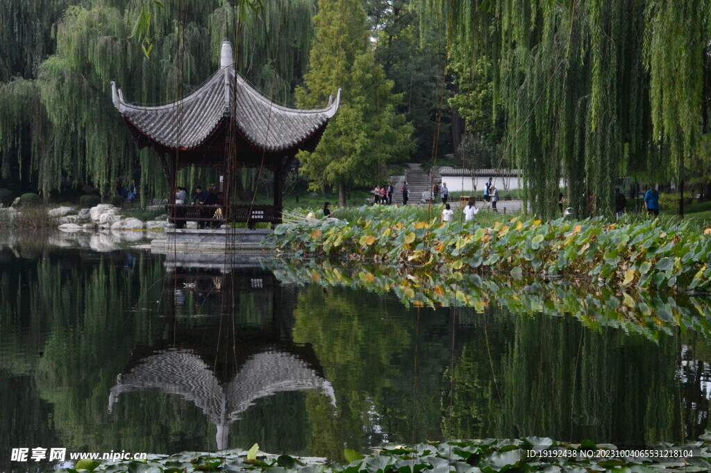 公园风景 