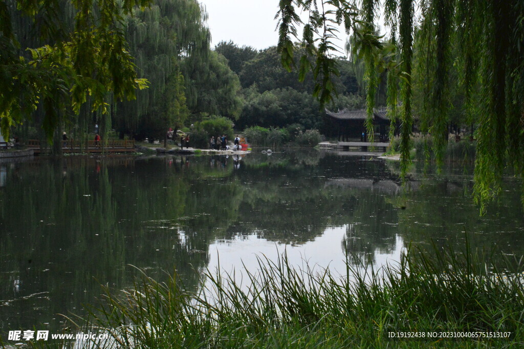 公园风景 