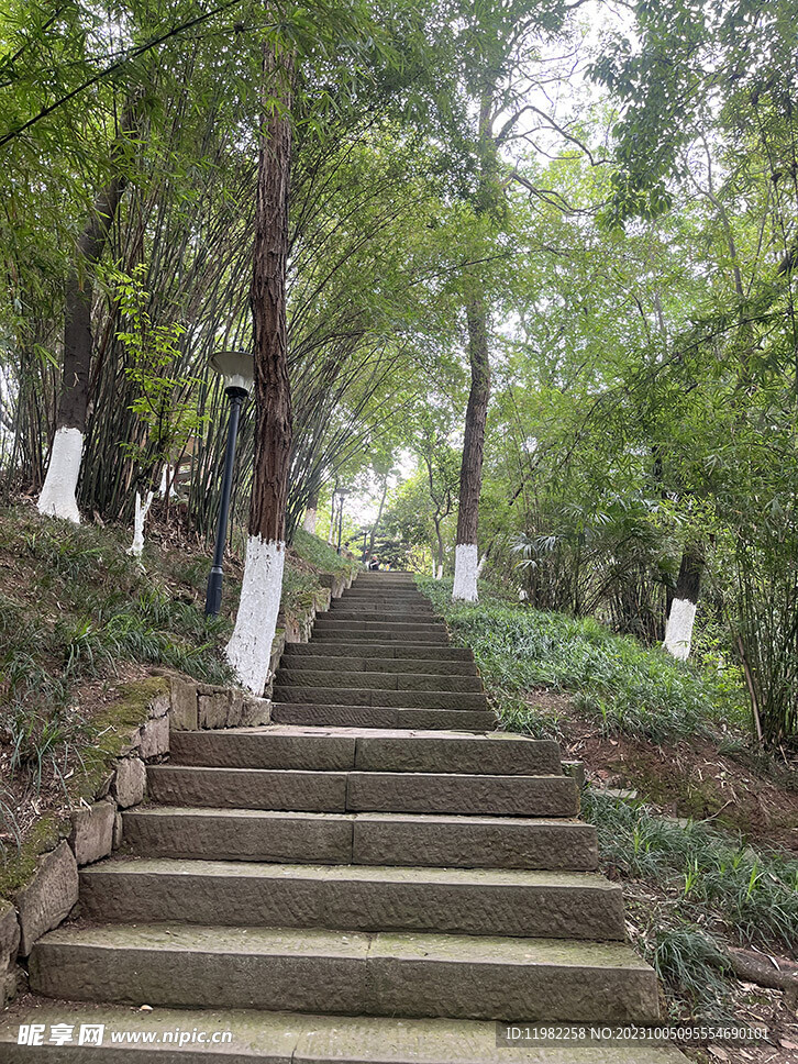 山路石阶