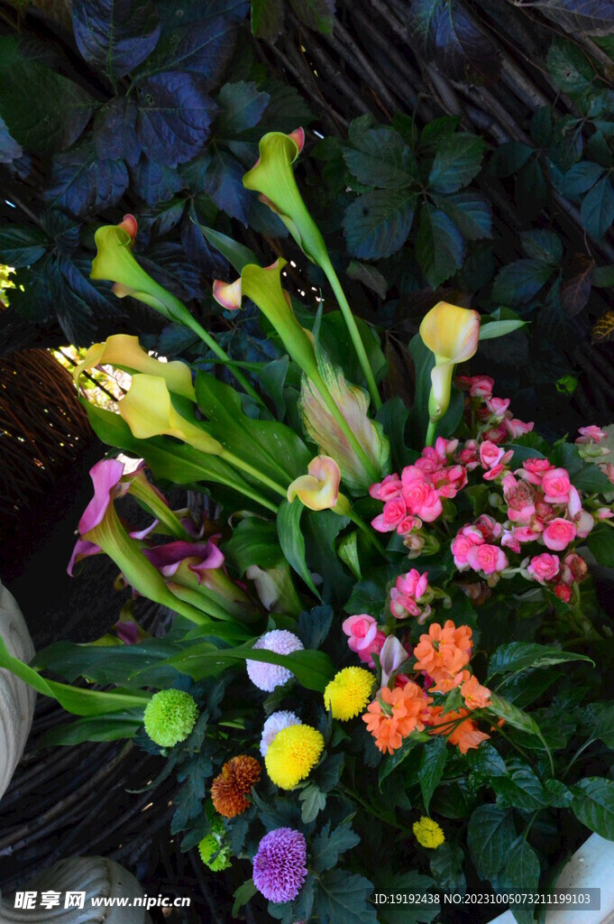 插花艺术 